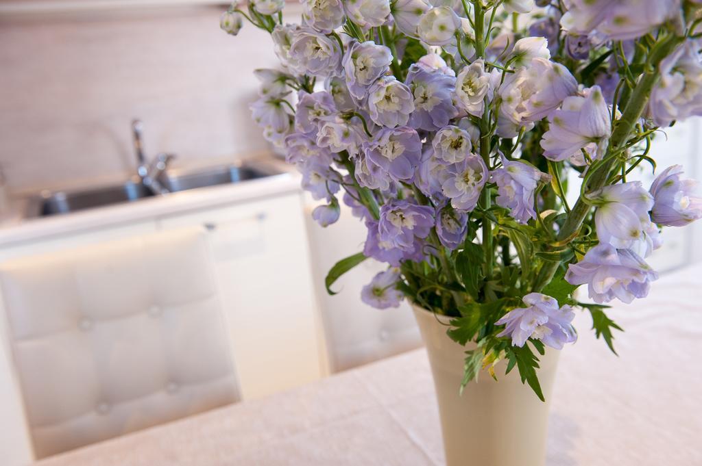 Bed and Breakfast Ca' Cappellis Venecia Exterior foto